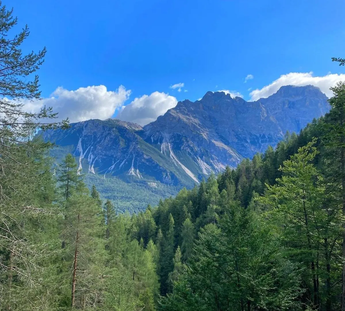 Large Central Flat, 5Min To Sky Slopes, Garage Cortina d'Ampezzo Apartment